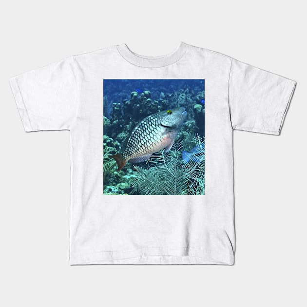 Silver Parrot Fish Kids T-Shirt by Scubagirlamy